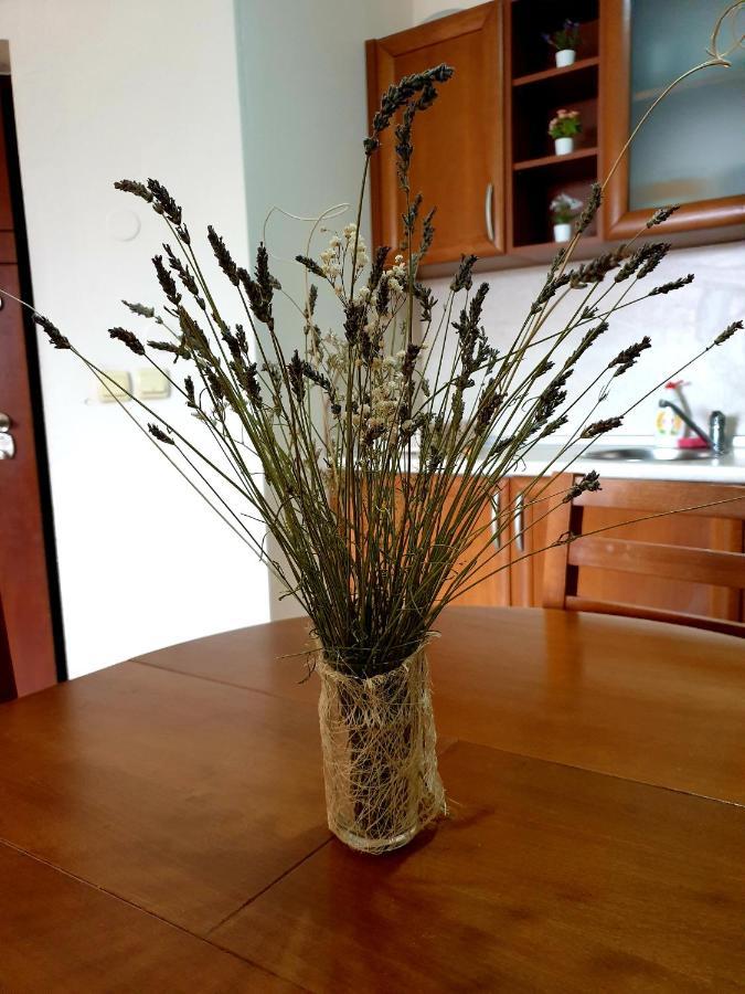 בנסקו Edelweiss Inn Aparthotel, Apartment 32 מראה חיצוני תמונה